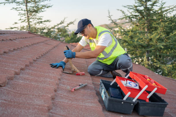 Best Metal Roofing Contractor  in Lonville, GA
