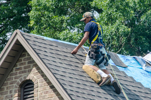 Best Flat Roof Repair Services  in Lonville, GA