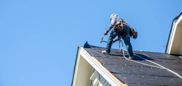 Best Local Roofing Companies  in Lonville, GA